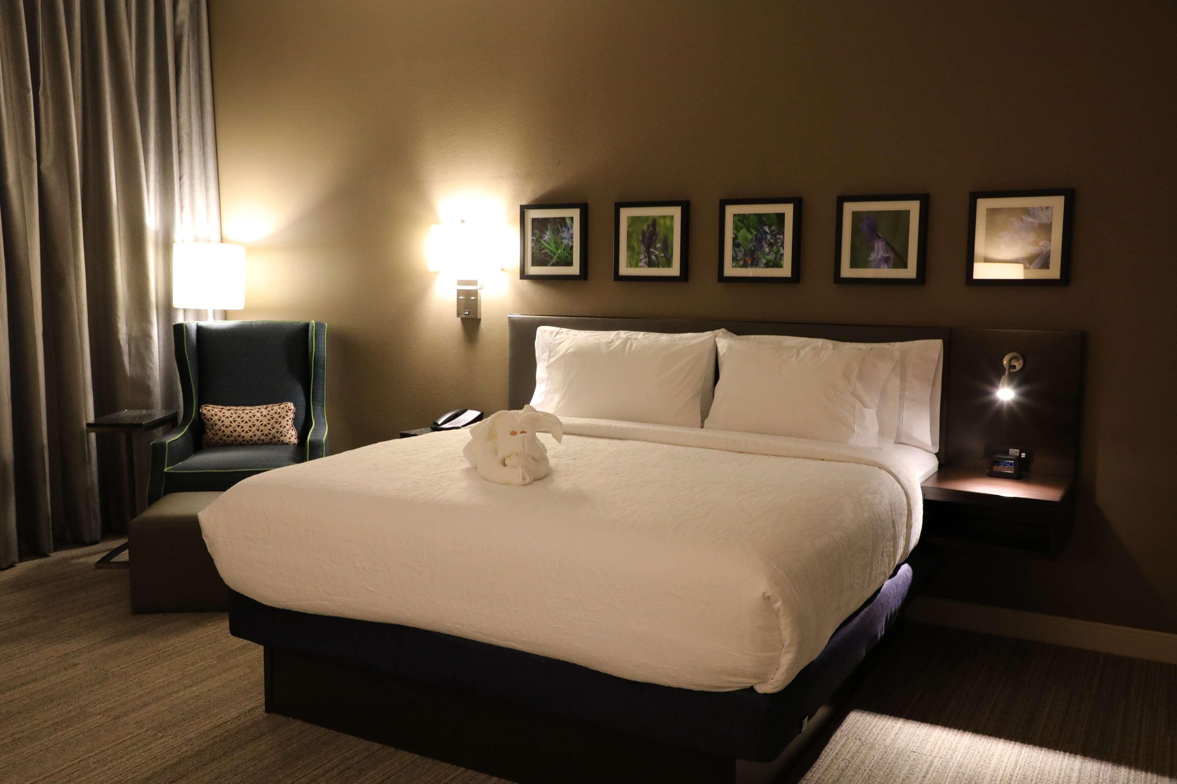Hilton Garden Inn Austin Airport Eksteriør bilde