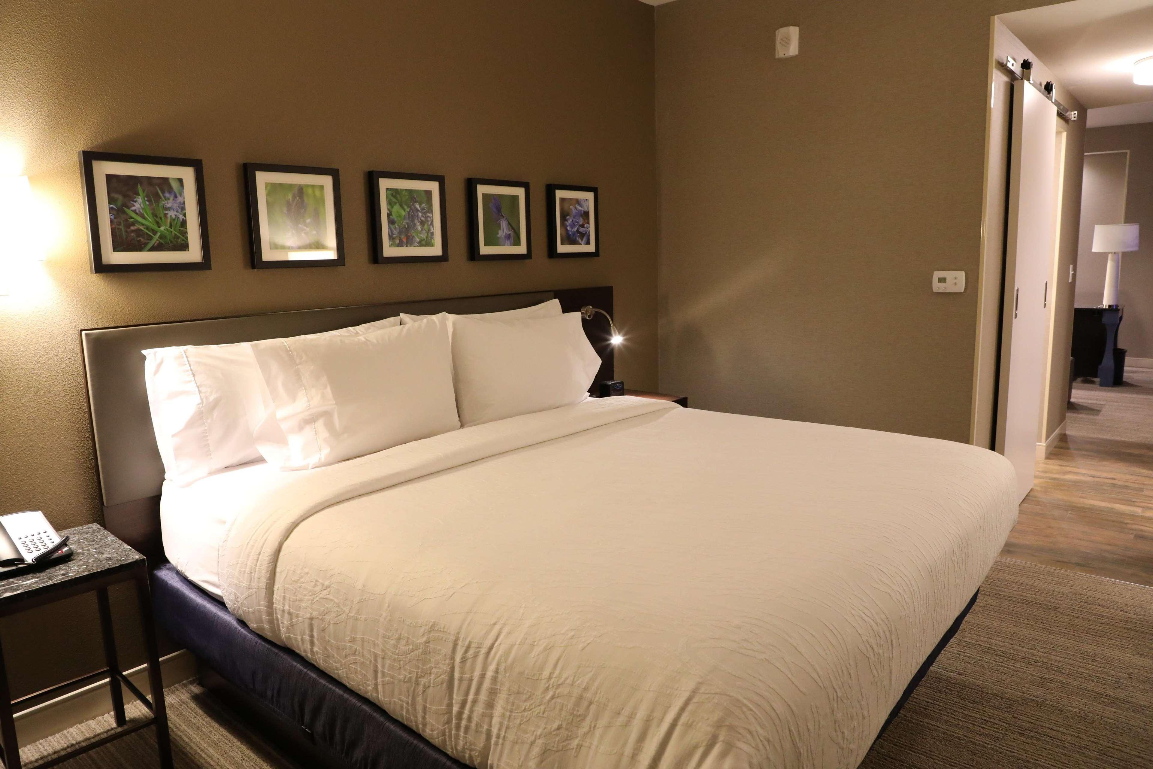 Hilton Garden Inn Austin Airport Eksteriør bilde